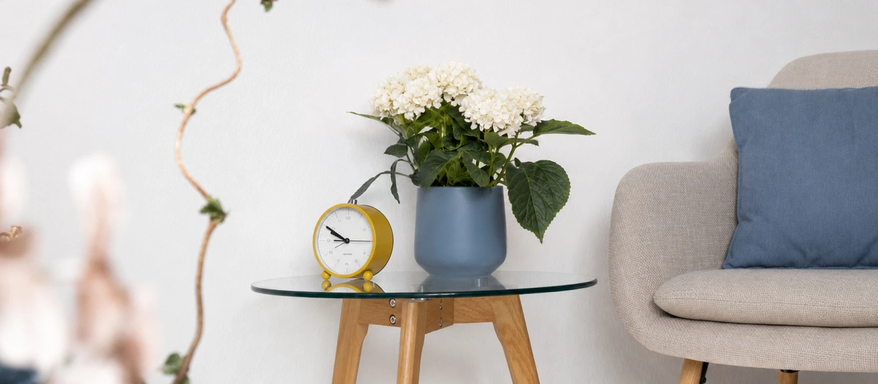 Praxisraum mit Sessel, Blumen und Uhr in der Psychotherapeutischen Praxisgemeinschaft Kane